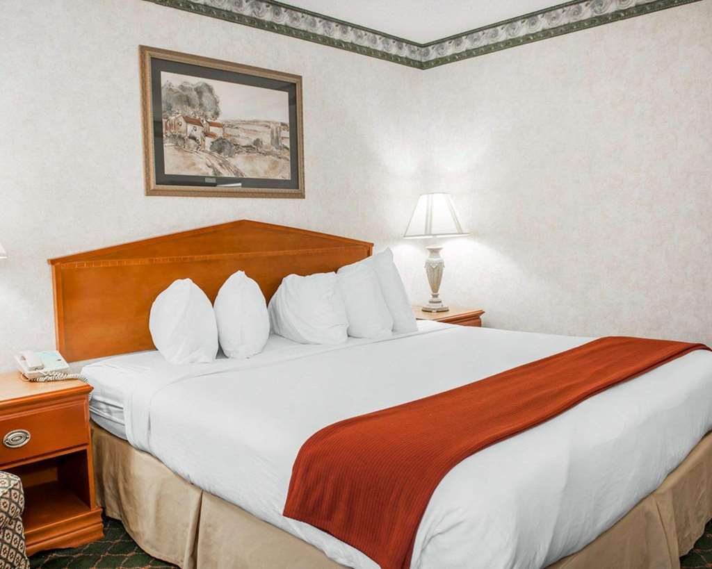 Quality Inn & Suites Brownsburg - Indianapolis West Kamer foto